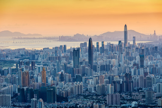 深圳 都市风光 风景 高楼群