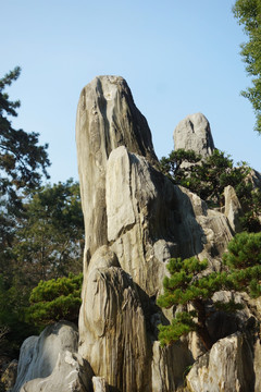 奇石盆景造型艺术