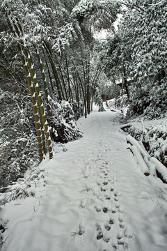 故乡的雪