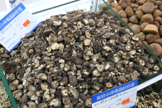 野生香菇