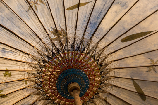 伞文化
