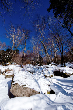 东北雪景