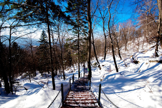 东北雪景