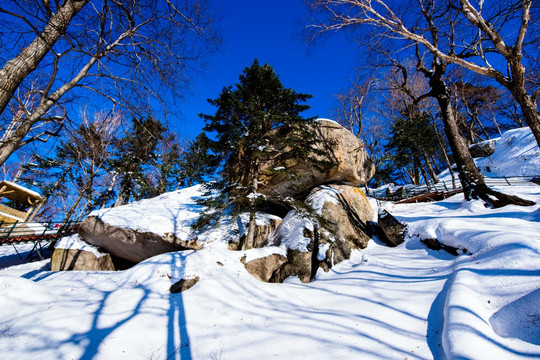 东北雪景