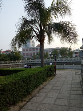 厦门大学