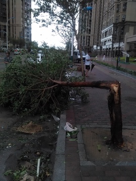 台风过后