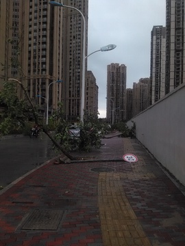 台风过后