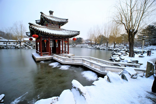 大观园 雪景