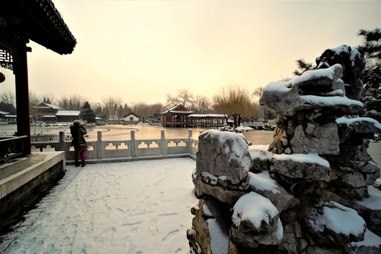 大观园 雪