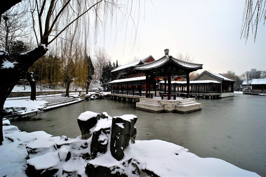 大观园 雪