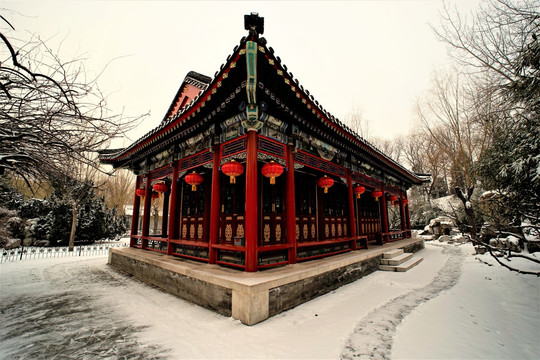 大观园 雪