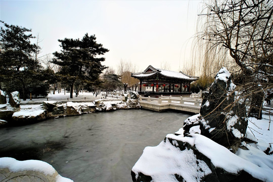 大观园 雪