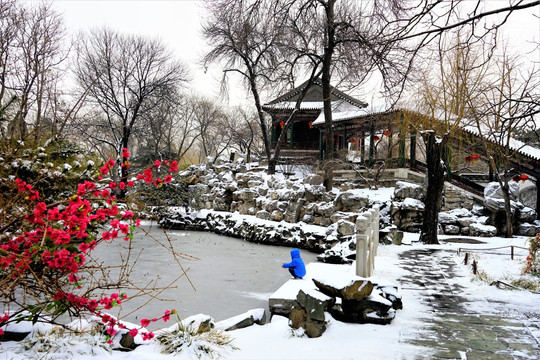 大观园 雪