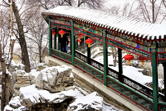 大观园 雪
