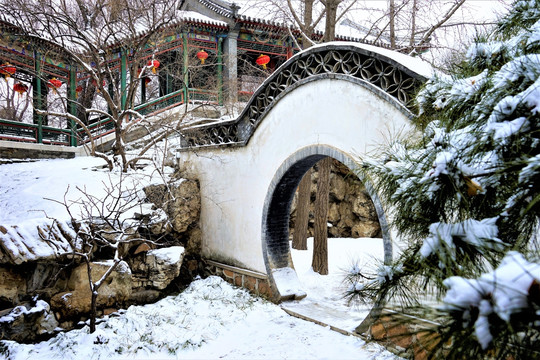 大观园 雪