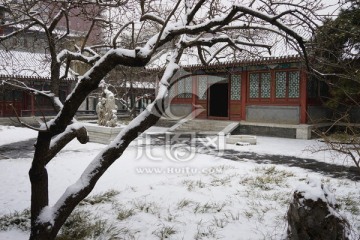 大观园 雪