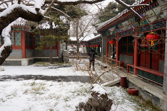 大观园 雪