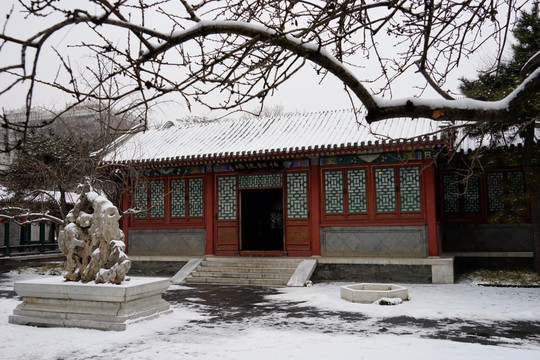 大观园 雪