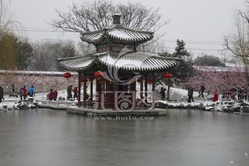 大观园 雪