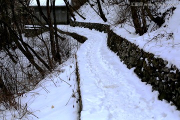 小径 雪景 积雪 小路 曲径