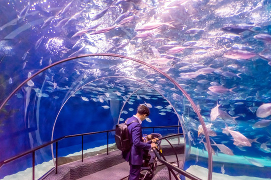 海底世界 鱼群 海洋水族馆