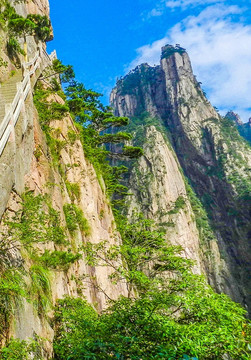 黄山风光 黄山栈道 黄山松