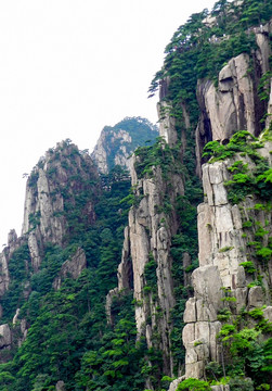 黄山风光 黄山栈道 黄山松