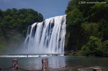 黄果树