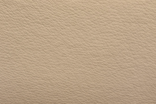 皮纹 皮纹贴图