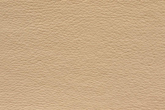皮纹 皮纹贴图