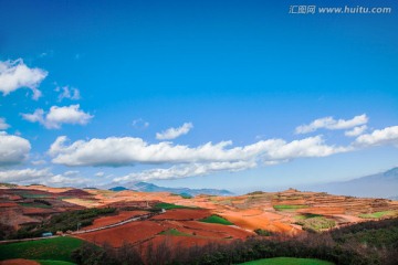 东川红土地 东川 云南