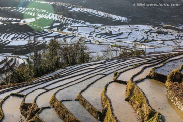 云南元阳梯田