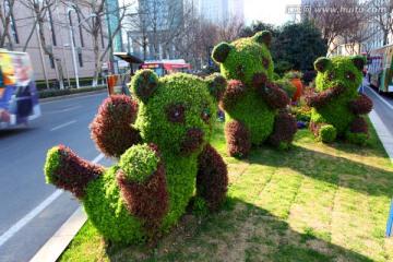 植物雕塑 熊猫 绿化 园林
