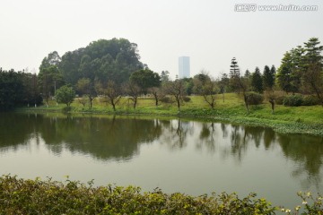 广州大学城校园绿化