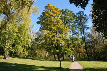 赫尔辛基城市公园