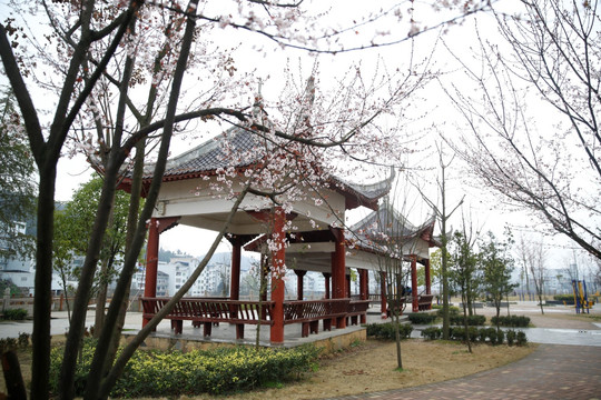 李花林