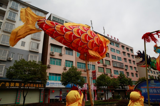 花灯鱼