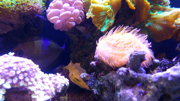 海底世界