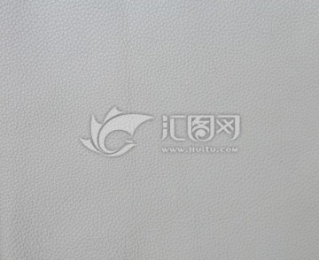 皮纹