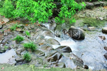 溪流河水