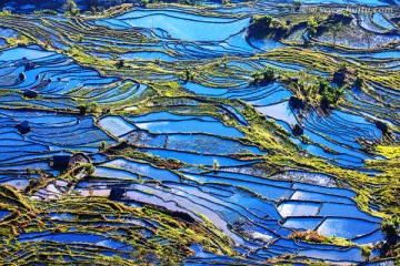 元阳梯田