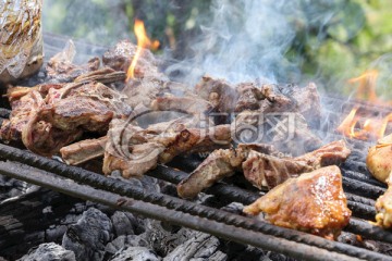 野外烧烤 烤肉 烧烤架 烧烤碳