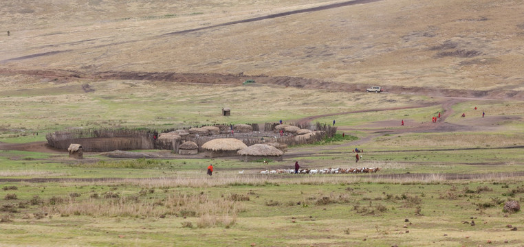 马赛人部落 Maasai