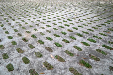 混凝土植草砖