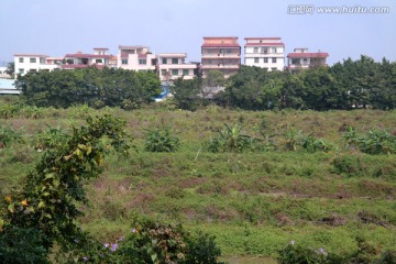 东甲新村美景