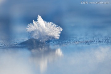 冰花