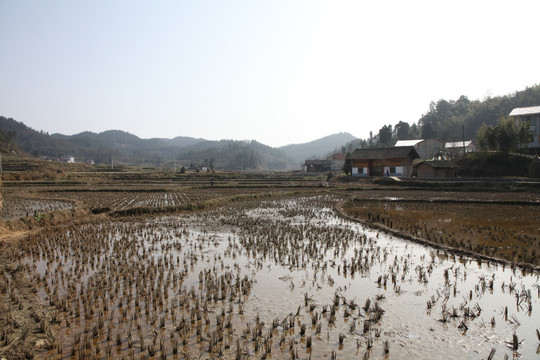 水田素材