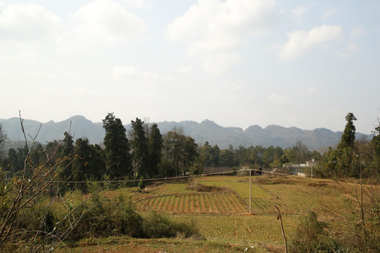农村素材