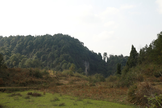 青山