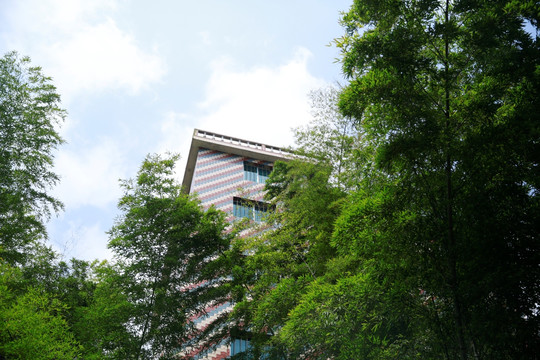 竹林人家